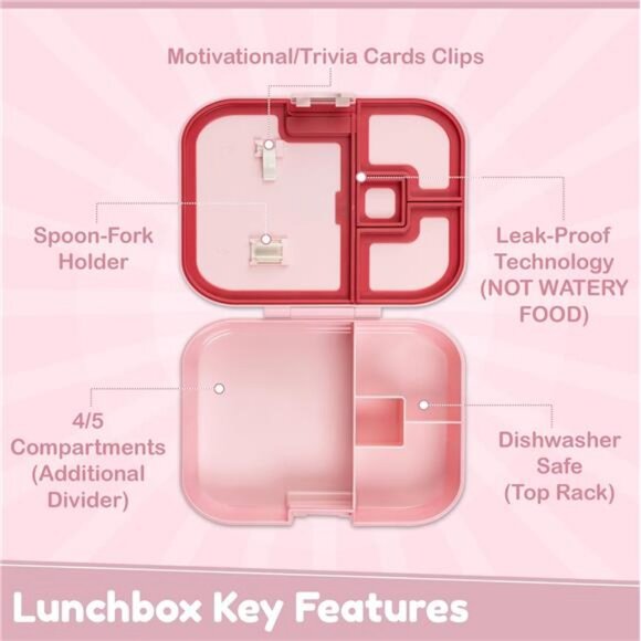 Bento box kids, the perfect bento box! Sized for toddlers, Leakproof - Picture 2 of 7